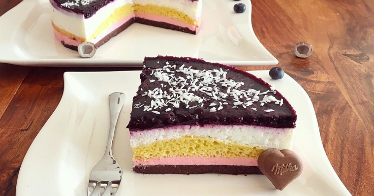 Schoko Vanille Blaubeer Kokosnuss Kuchen